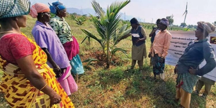 “தென்னையை காக்கும் மாயவலை”: மரிக்குண்டு விவசாயிகளுக்கு பெரோமோன் தொழில்நுட்ப பயிற்சி!