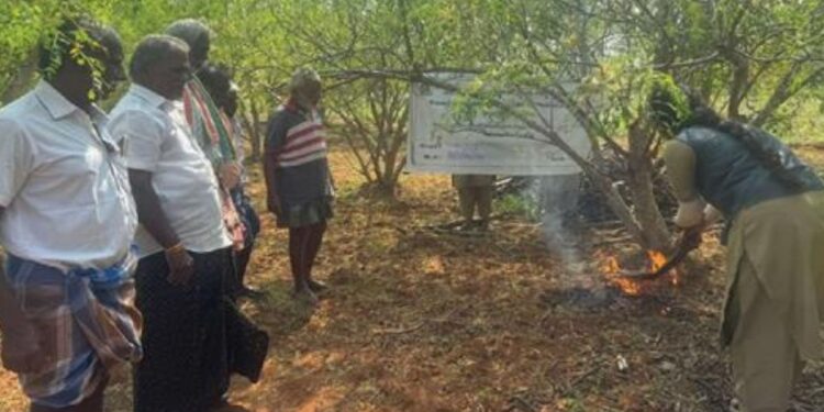 பூச்சிக்கொல்லிக்கு வைப்போம் முற்றுப்புள்ளி… முருங்கை விவசாயிகளுக்கு கை கொடுத்த தென்னை புகை வித்தை!