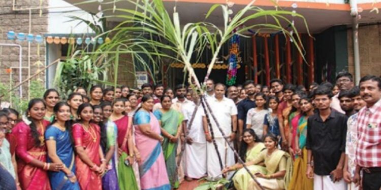 அரசு மருத்துவக் கல்லூரியில் “தமிழர் திருநாள்” கொண்டாட்டம் – மாணவர்கள் உற்சாகம்!