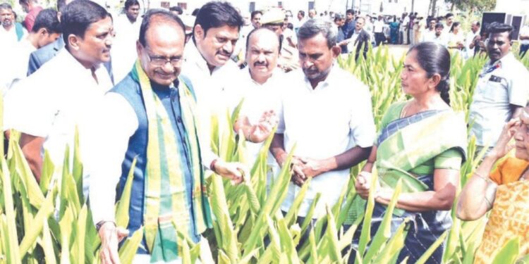 ஈரோட்டில் தேசிய மஞ்சள் வாரிய மண்டல அலுவலகம் மற்றும் உலகத்தரம் வாய்ந்த ஆய்வகம்
