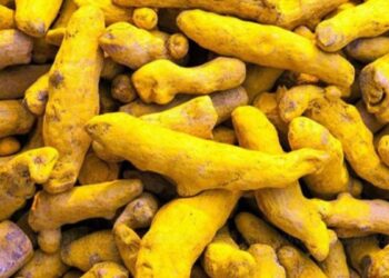 ஈரோடு சந்தையில் மஞ்சள் விலை அதிரடி உயர்வு குவிண்டால் ரூ.16,500-ஐ எட்டியதால் விவசாயிகள் மகிழ்ச்சி!