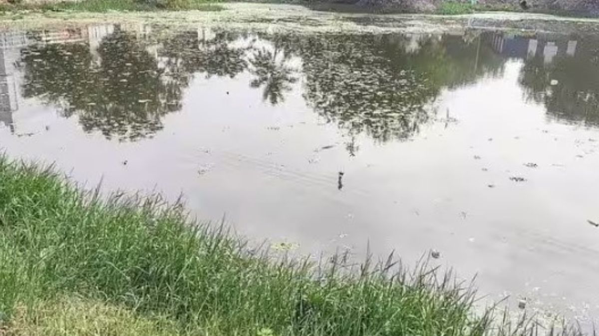 சின்னமனூரில் பல கோடி மதிப்பில் புனரமைக்கப்பட்ட கண்மாய்களால் உயர்ந்த நிலத்தடி நீர்மட்டம்