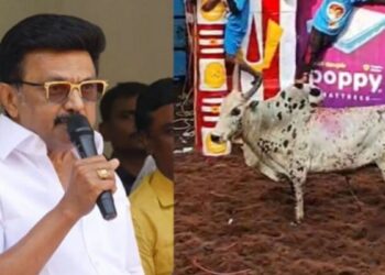 ஜல்லிக்கட்டு நாயகர்களுக்கு அரசு வேலை: மதுரையில் முதல்வர் மு.க.ஸ்டாலின் அதிரடி அறிவிப்பு