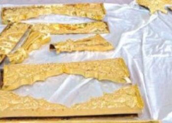 செஞ்சேரிமலையில் ரூ.10 கோடியில் ஜொலிக்கும் தங்கத்தேர் இறுதிக்கட்டப் பணிகள் தீவிரம்!