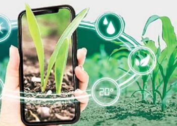 விளைநிலங்களில் ‘டிஜிட்டல் பயிர் சர்வே’ பணி தீவிரம் – வேளாண் துறை அதிரடி!