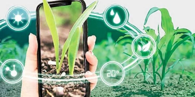 விளைநிலங்களில் ‘டிஜிட்டல் பயிர் சர்வே’ பணி தீவிரம் – வேளாண் துறை அதிரடி!