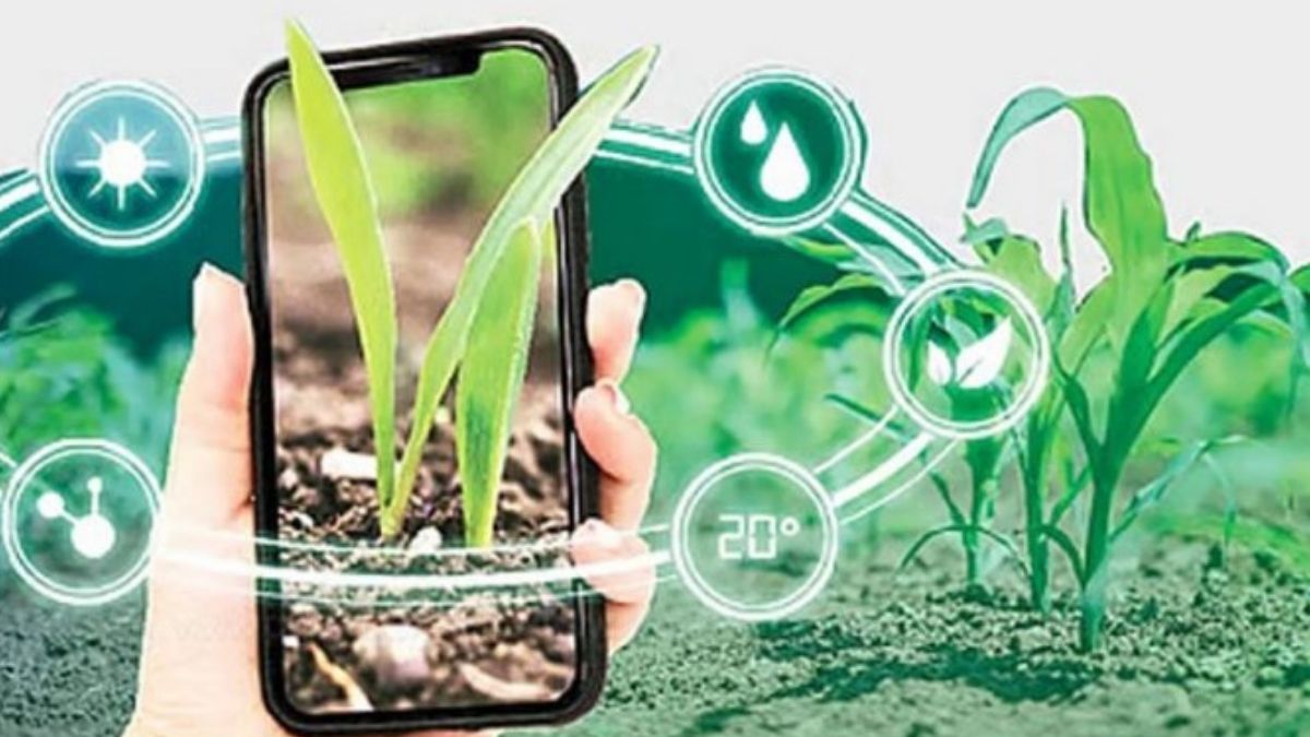 விளைநிலங்களில் ‘டிஜிட்டல் பயிர் சர்வே’ பணி தீவிரம் – வேளாண் துறை அதிரடி!