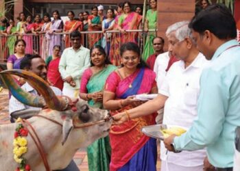 கால்நடைகளுக்குக் கைத்தறி ஆடை அணிவித்து கௌரவம்: நடிகர் கே.ஜி.பாண்டியன் பொங்கல் கொண்டாட்டம்