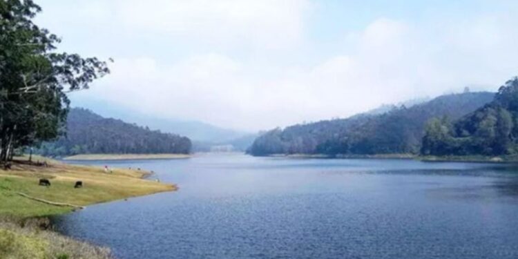 சுற்றுலாப் பயணிகளின் கவனத்திற்கு: கொடைக்கானல் பேரிஜம் ஏரிக்கு நாளை செல்ல வனத்துறை திடீர் தடை!