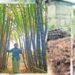பொங்கல் பரிசு கரும்பு  இடைப்பாடியில் 8 மாவட்ட அதிகாரிகள் அதிரடி ஆய்வு – விவசாயிகளின் வங்கி கணக்கில் நேரடியாகப் பணம்!