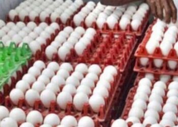 நாமக்கல் பண்ணைகளில் முட்டைகள் தேக்கம் ஒரே நாளில் 20 காசுகள் சரிந்து ரூ. 6-க்கு விற்பனை!