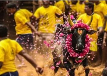 மதுரை ஜல்லிக்கட்டுக்கு ஆன்லைன் மூலம் 12,000 காளைகளும் 5,000 வீரர்களும் அதிரடி முன்பதிவு!