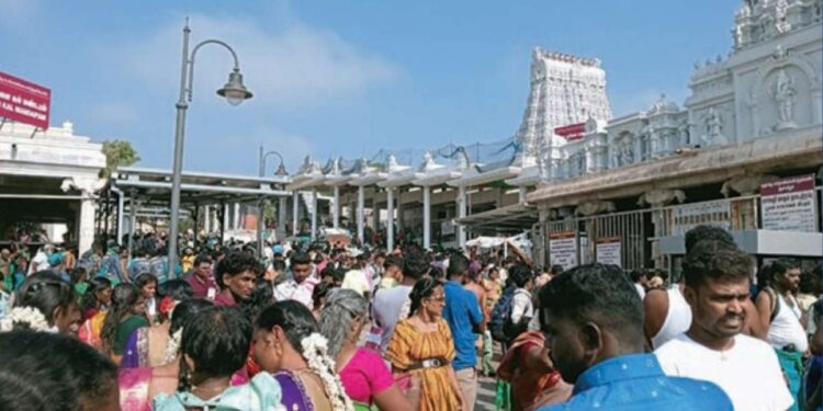 திருச்செந்தூரில் பொங்கல் பண்டிகை உற்சாகம்: பல்லாயிரக்கணக்கான பக்தர்கள் சாமி தரிசனம்