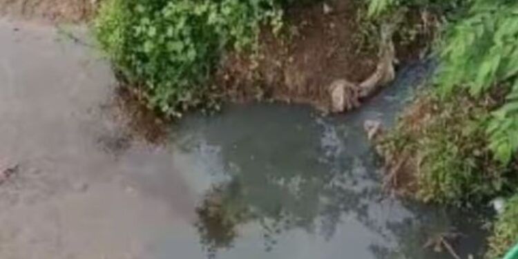 செரும்பு பள்ளம் அருகே நொய்யல் ஆற்றில் கலக்கும் கழிவுநீர் நச்சுப் பொய்கையாக மாறும் அவலம்