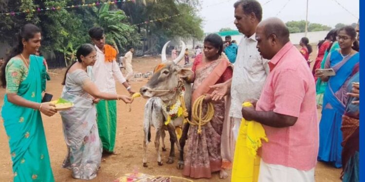 ப்ரண்ட்லைன் மிலேனியம் பள்ளியில் சங்கத்தமிழர் காலத்து பொங்கல் திருவிழா!