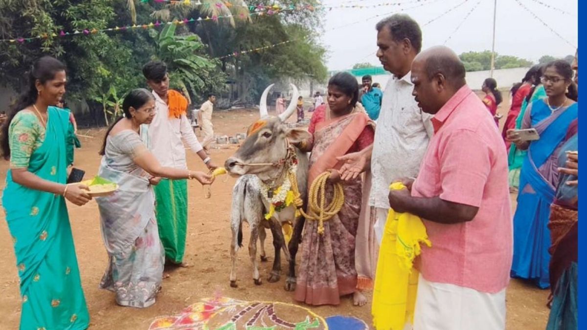 ப்ரண்ட்லைன் மிலேனியம் பள்ளியில் சங்கத்தமிழர் காலத்து பொங்கல் திருவிழா!