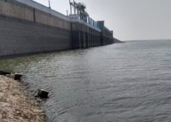 வைகை அணையில் நீர்மட்டம் 48 அடியாகச் சரிவு மதுரை, திண்டுக்கல் பாசனக் கால்வாய் நீர் நிறுத்தப்பட்டது