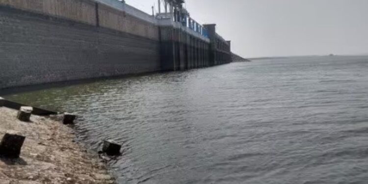 வைகை அணையில் நீர்மட்டம் 48 அடியாகச் சரிவு மதுரை, திண்டுக்கல் பாசனக் கால்வாய் நீர் நிறுத்தப்பட்டது