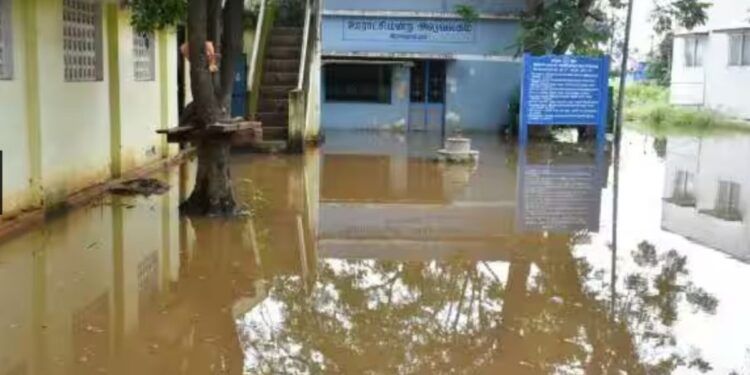 தென்காசியில் கொட்டித் தீர்த்த கனமழை சிவகிரி ராமநாதபுரத்தில் குடியிருப்புப் பகுதிகளைச் சூழ்ந்த வெள்ளநீர்