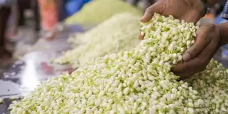 சத்தியமங்கலத்தில் மல்லிகைப் பூ விலை கிடுகிடு உயர்வு ஒரே கிலோ ரூ.4,300-க்கு விற்பனை!