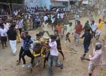 அனுமதியின்றி நடத்தப்பட்ட எருதாட்டத்தில் காளைகள் முட்டியதில் பெண் உட்பட 4 பேர் பலி.