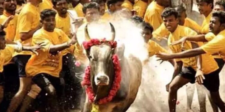 சிவகங்கை ஜல்லிக்கட்டு அனுமதி அளிக்கப்பட்ட 45 இடங்களின் பட்டியலைத் மதுரை கிளை அதிரடி உத்தரவு!