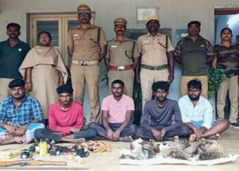 தேசியப் பறவைக்கு குறிவைத்த 5 வேட்டைக்காரர்களைக் கூண்டில் அடைத்த வளநாடு போலீஸ்!