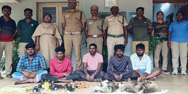 தேசியப் பறவைக்கு குறிவைத்த 5 வேட்டைக்காரர்களைக் கூண்டில் அடைத்த வளநாடு போலீஸ்!