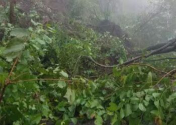 போடிமெட்டு மலைப்பாதையில் மண்சரிவு பாறைகள் உருண்டு மரங்கள் சாய்ந்ததால் போக்குவரத்து கடும் பாதிப்பு!