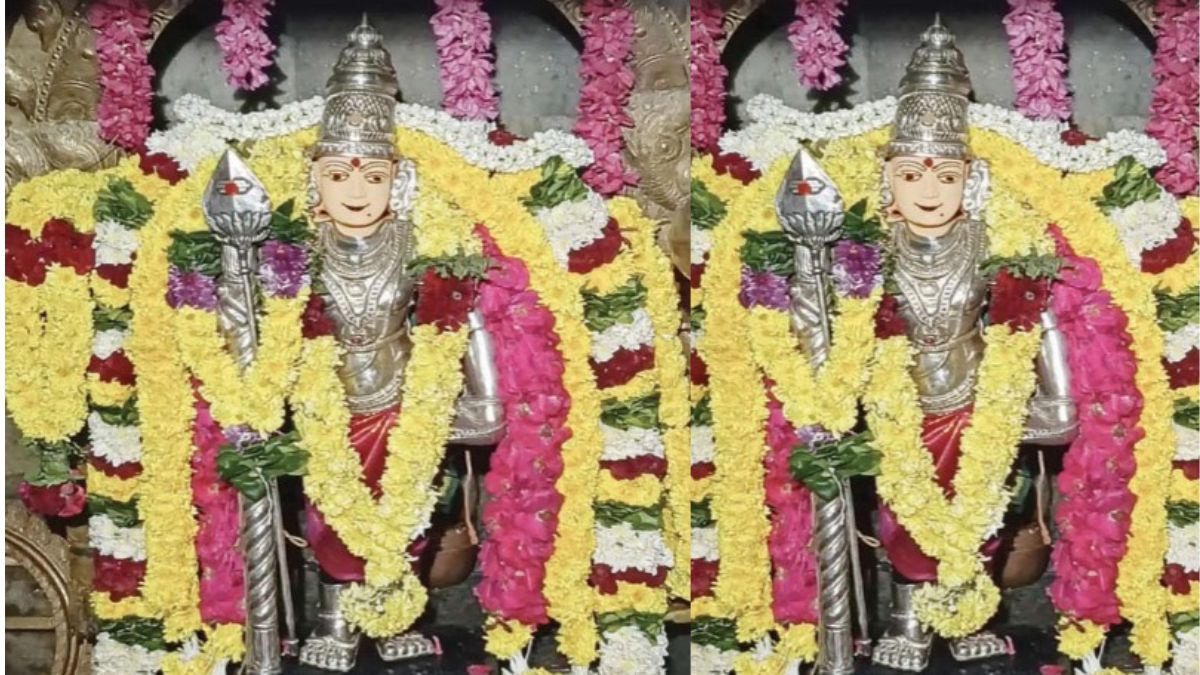 நத்தம் திருமலைக்கேணி முருகப் பெருமான் கோவிலில் மார்கழி கார்த்திகை விழா திரளான பக்தர்கள் தரிசனம்.