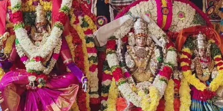 இளையாத்தங்குடி கைலாசநாதர் கோயிலில் ஆருத்ரா தரிசன விழா சுவாமி அம்பாள் திருக்கல்யாண வைபவம்!