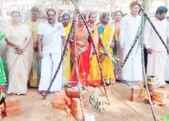 சங்கரன்கோவில் மின்வாரிய அலுவலகத்தில் சமத்துவப் பொங்கல்: ஊழியர்களிடையே விளையாட்டுப் போட்டிகள்