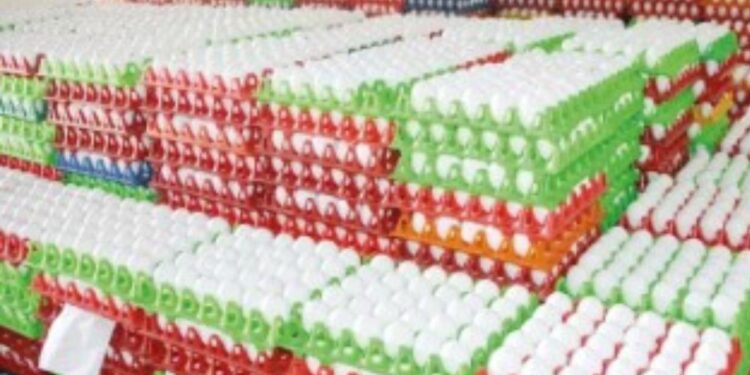 நாமக்கல் மண்டலத்தில் முட்டை விலை மேலும் 20 காசுகள் சரிவு பண்ணையாளர்கள் கவலை