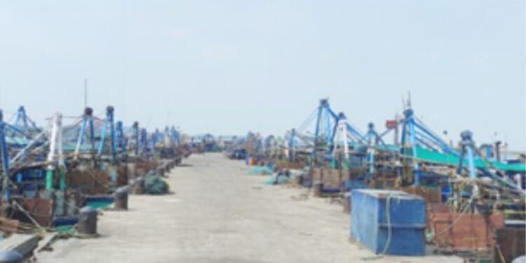 5-வது நாளாக மீன்பிடிக்கத் தடை -ராமேசுவரம் மீனவர்களுக்கு ரூ.15 கோடி வருவாய் இழப்பு!