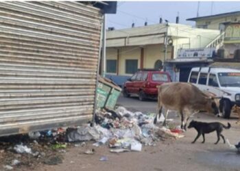 கொடைக்கானல் அண்ணா சாலையில் 45 ஆண்டுகால குப்பைத்தொட்டி மாயம்: ஆக்கிரமிப்பால் சுகாதாரச் சீர்கேடு – அதிகாரிகள் நடவடிக்கை எடுக்கக் கோரிக்கை