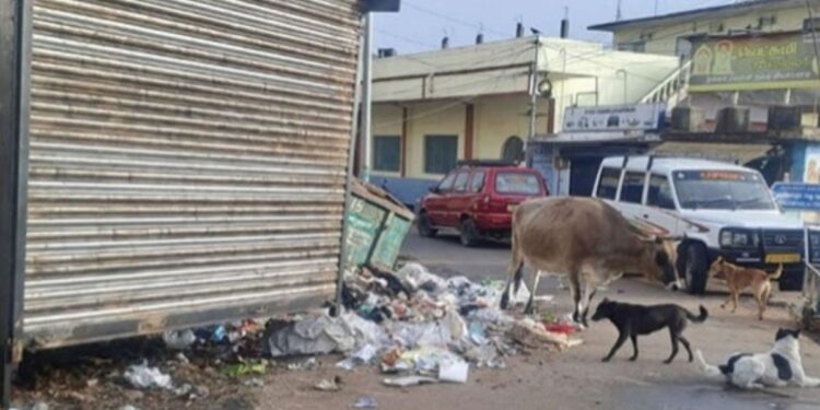 கொடைக்கானல் அண்ணா சாலையில் 45 ஆண்டுகால குப்பைத்தொட்டி மாயம்: ஆக்கிரமிப்பால் சுகாதாரச் சீர்கேடு – அதிகாரிகள் நடவடிக்கை எடுக்கக் கோரிக்கை
