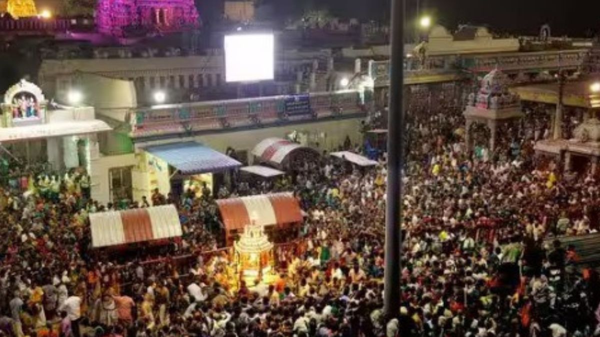 பழநியில் பல்லாயிரக்கணக்கான பக்தர்கள் குவிந்து தங்கரத புறப்பாட்டில் தரிசனம்.