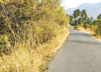 எமனாய் மாறும் முட்புதர்கள்… விபத்து முனையில் வாகன ஓட்டிகள்; ஆர்.புதுப்பட்டி நெடுஞ்சாலையைச் சீரமைக்கப் பொதுமக்கள் கோரிக்கை!