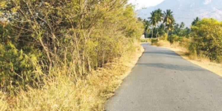 எமனாய் மாறும் முட்புதர்கள்… விபத்து முனையில் வாகன ஓட்டிகள்; ஆர்.புதுப்பட்டி நெடுஞ்சாலையைச் சீரமைக்கப் பொதுமக்கள் கோரிக்கை!