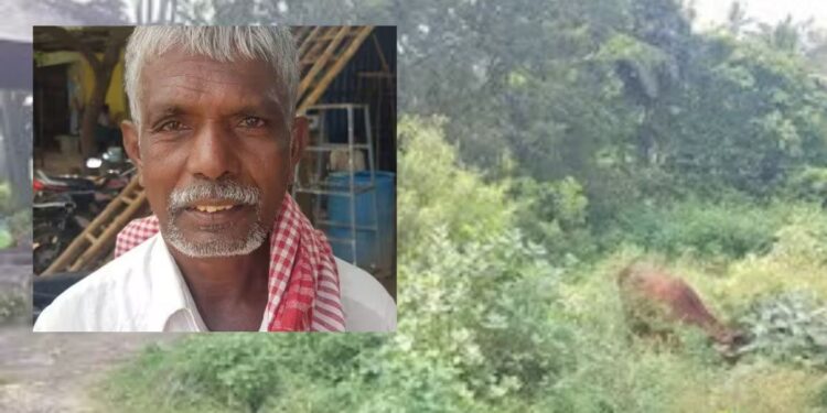 ஆக்கிரமிப்புப் பிடியில் சிக்கிச் சீரழியும் விக்கிரமங்கலம் பேருந்து நிலையம் நிழற்குடை இன்றி தவிக்கும் பயணிகள்