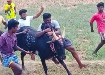 சிவகங்கை கண்டுப்பட்டி மஞ்சுவிரட்டில் சீறிய காளைகள்: 126 பேர் காயம், 30 பேர் அரசு மருத்துவமனையில் அனுமதி.