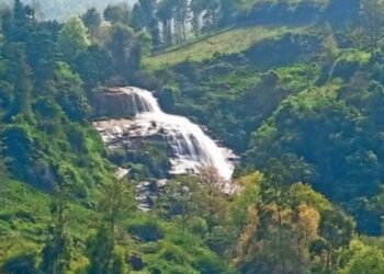 கண்களுக்கு விருந்தாகும் அருவி… உயிருக்கு உலை வைக்கும் ஆபத்து! உயிலட்டி நீர்வீழ்ச்சியில் சுற்றுலா பயணிகள் அத்துமீறல்