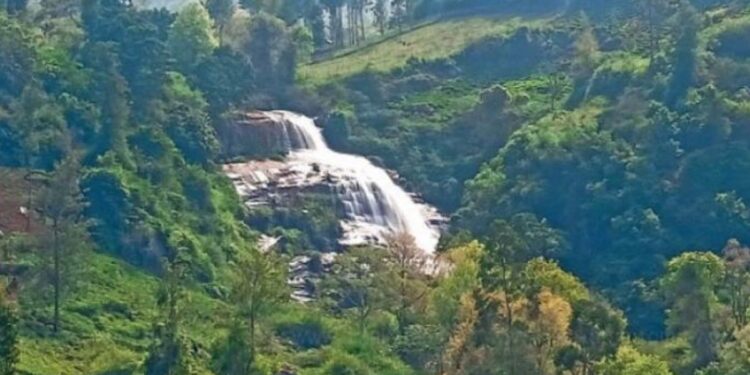 கண்களுக்கு விருந்தாகும் அருவி… உயிருக்கு உலை வைக்கும் ஆபத்து! உயிலட்டி நீர்வீழ்ச்சியில் சுற்றுலா பயணிகள் அத்துமீறல்