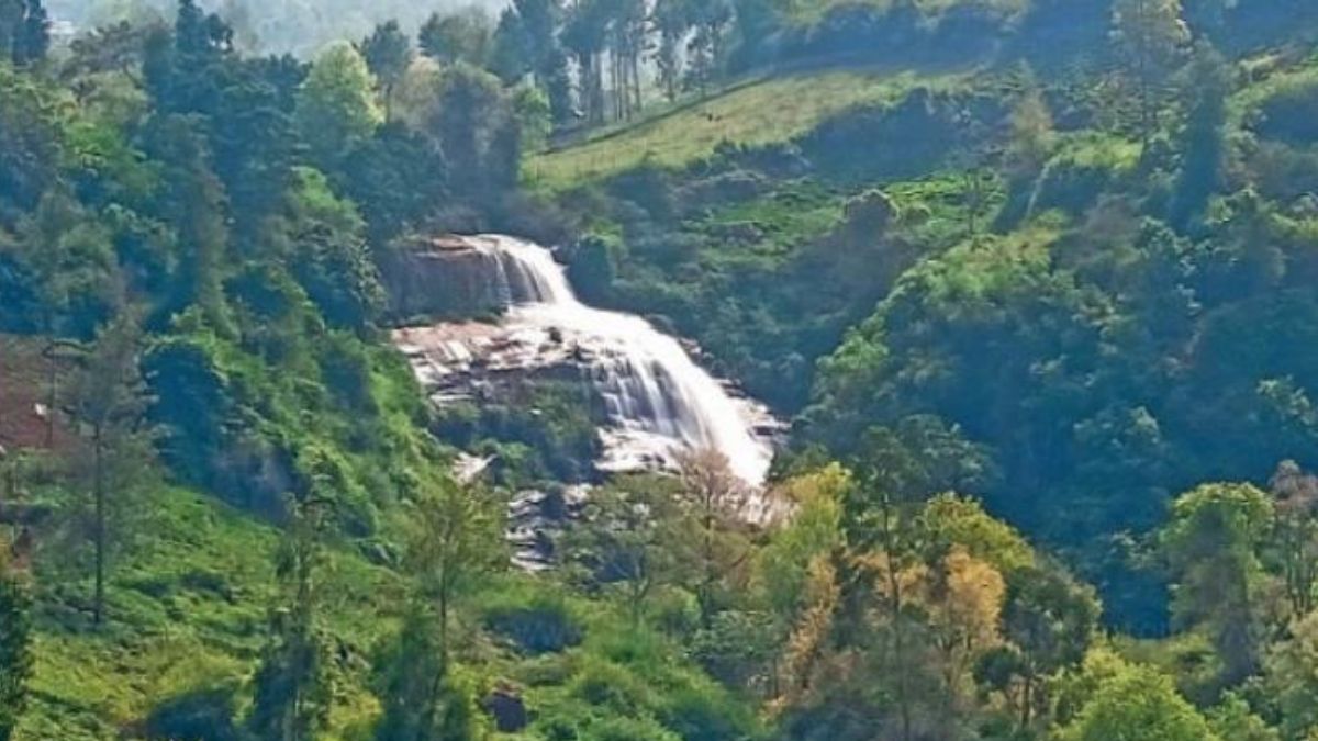 கண்களுக்கு விருந்தாகும் அருவி… உயிருக்கு உலை வைக்கும் ஆபத்து! உயிலட்டி நீர்வீழ்ச்சியில் சுற்றுலா பயணிகள் அத்துமீறல்