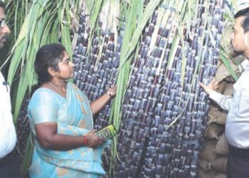 பொள்ளாச்சியில் மாவட்ட ஆட்சியர் அதிரடி ஆய்வு: பொங்கல் கரும்பு தரம் மற்றும் ரூ.73 கோடி மதிப்பிலான சாலைப் பணிகளைப் பார்வையிட்டார்