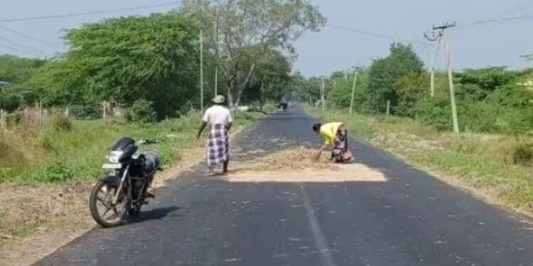விதிமீறி சாலைகளில் தானியங்களை உலர்த்தும் அவலம் கமுதி பகுதியில் உலர்களம் இல்லாததால் விபத்து அபாயம்