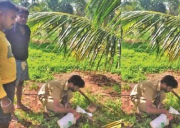 சாஸ்த்ரா பல்கலைக்கழக ஆக்கிரமிப்பில் இருந்த 31.37 ஏக்கர் அரசு நிலம் மீட்பு வருவாய்த்துறை நடவடிக்கை!