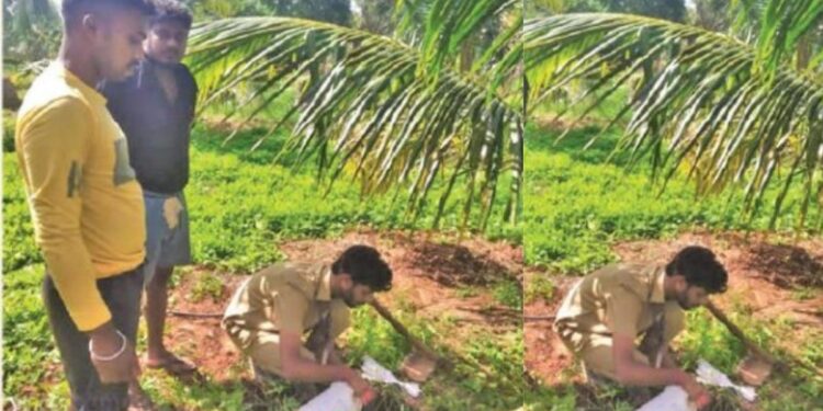 சாஸ்த்ரா பல்கலைக்கழக ஆக்கிரமிப்பில் இருந்த 31.37 ஏக்கர் அரசு நிலம் மீட்பு வருவாய்த்துறை நடவடிக்கை!