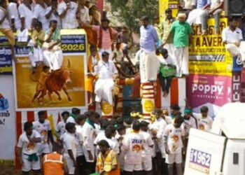 கால்நடை பராமரிப்புத் துறையில் மாடுபிடி வீரர்களுக்கு வேலைவாய்ப்பு வீரர்கள் விடுத்த முக்கிய கோரிக்கை