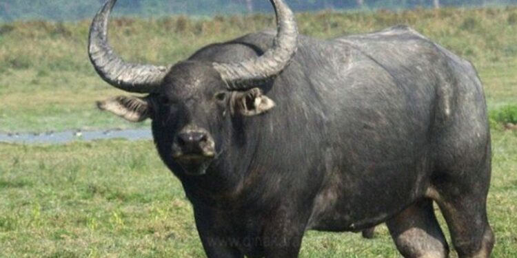 சாஸ்த்ரா பல்கலைக்கழக ஆக்கிரமிப்பில் இருந்த 31.37 ஏக்கர் அரசு நிலம் மீட்பு வருவாய்த்துறை நடவடிக்கை!